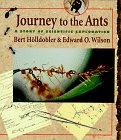 ants journey